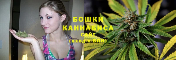 мдпв Осташков