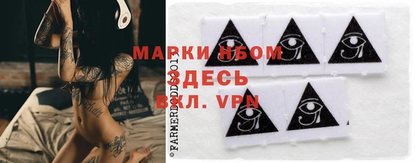 мдпв Осташков