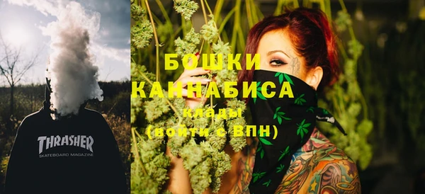 мдпв Осташков